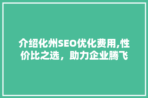 介绍化州SEO优化费用,性价比之选，助力企业腾飞 百度SEO
