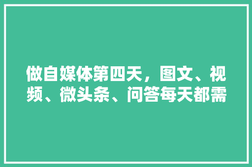做自媒体第四天，图文、视频、微头条、问答每天都需要更新吗？为什么「为什么需要更新转数计数器?」 做自媒体第四天，图文、视频、微头条、问答每天都需要更新吗？为什么「为什么需要更新转数计数器?」 必应SEO
