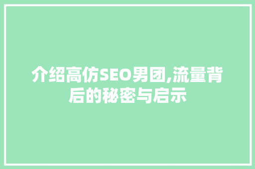 介绍高仿SEO男团,流量背后的秘密与启示 神马SEO