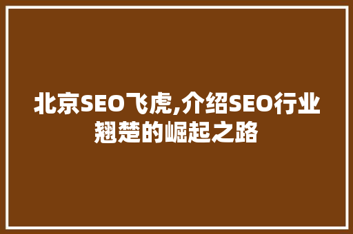 北京SEO飞虎,介绍SEO行业翘楚的崛起之路