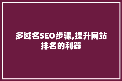 多域名SEO步骤,提升网站排名的利器