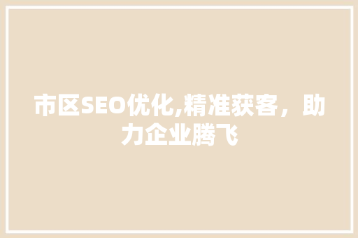 市区SEO优化,精准获客，助力企业腾飞 GoogleSEO