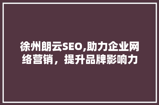 徐州朗云SEO,助力企业网络营销，提升品牌影响力 GoogleSEO