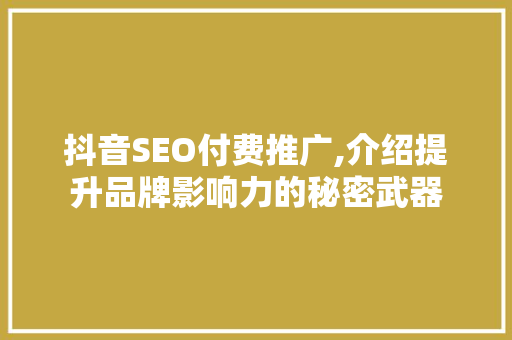 抖音SEO付费推广,介绍提升品牌影响力的秘密武器 必应SEO