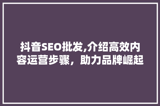 抖音SEO批发,介绍高效内容运营步骤，助力品牌崛起