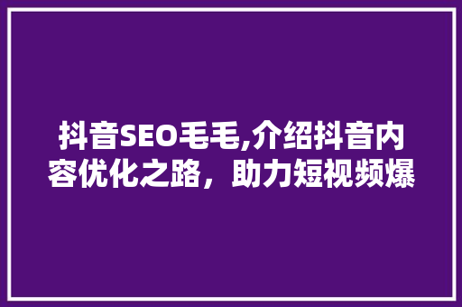 抖音SEO毛毛,介绍抖音内容优化之路，助力短视频爆款生成