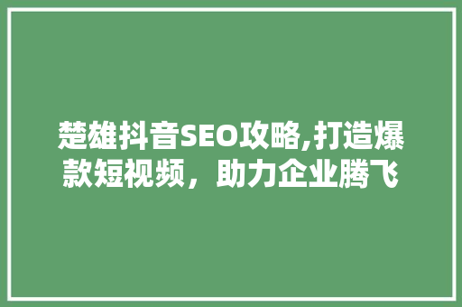 楚雄抖音SEO攻略,打造爆款短视频，助力企业腾飞