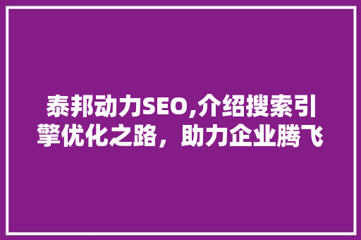泰邦动力SEO,介绍搜索引擎优化之路，助力企业腾飞 百度SEO