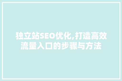 独立站SEO优化,打造高效流量入口的步骤与方法