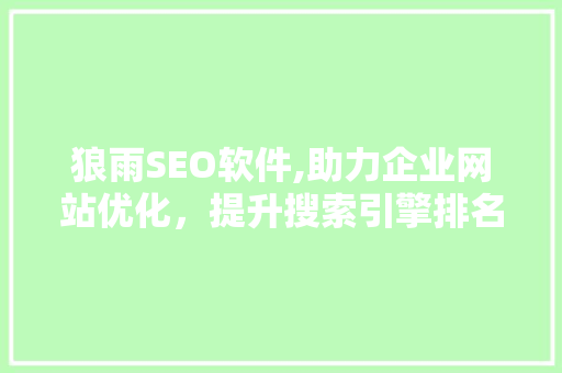 狼雨SEO软件,助力企业网站优化，提升搜索引擎排名