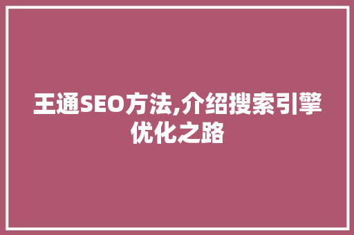 王通SEO方法,介绍搜索引擎优化之路