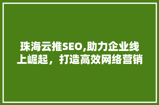 珠海云推SEO,助力企业线上崛起，打造高效网络营销步骤