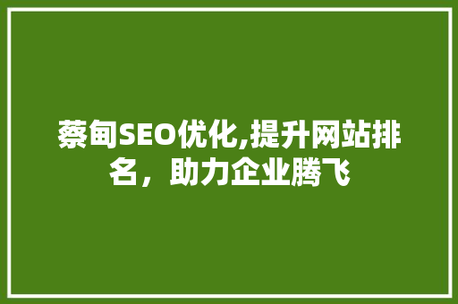 蔡甸SEO优化,提升网站排名，助力企业腾飞 必应SEO
