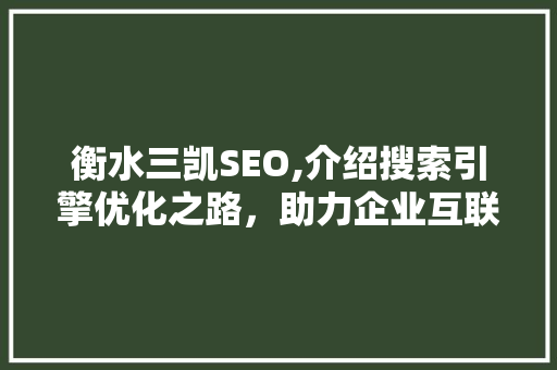 衡水三凯SEO,介绍搜索引擎优化之路，助力企业互联网营销