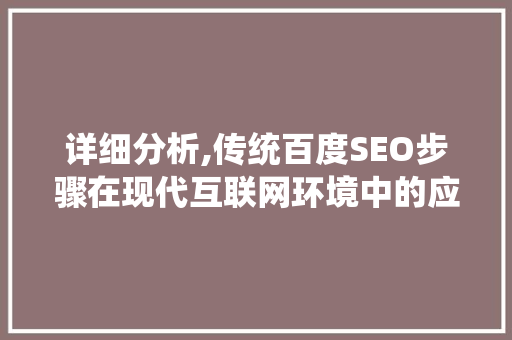 详细分析,传统百度SEO步骤在现代互联网环境中的应用与优化