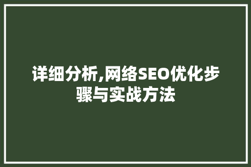详细分析,网络SEO优化步骤与实战方法 搜狗SEO