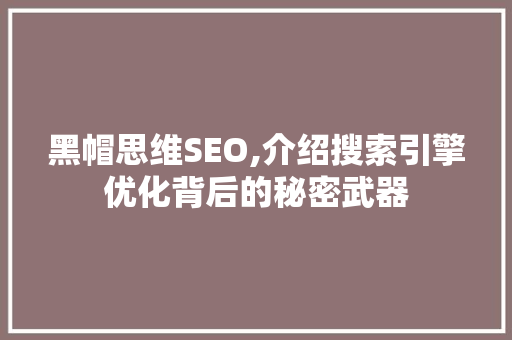黑帽思维SEO,介绍搜索引擎优化背后的秘密武器