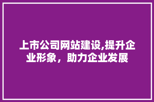 上市公司网站建设,提升企业形象，助力企业发展 百度SEO