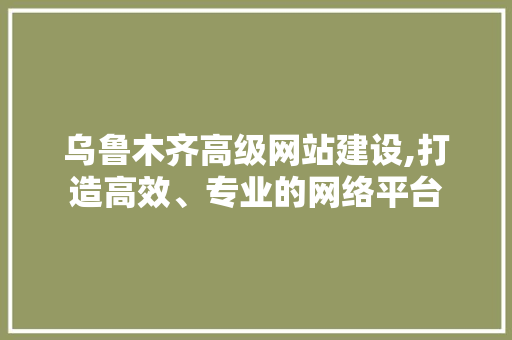 乌鲁木齐高级网站建设,打造高效、专业的网络平台 GoogleSEO