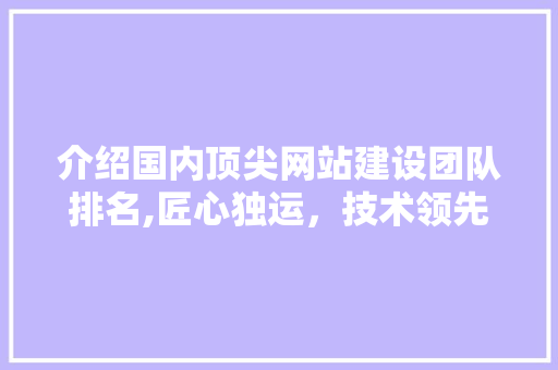 介绍国内顶尖网站建设团队排名,匠心独运，技术领先