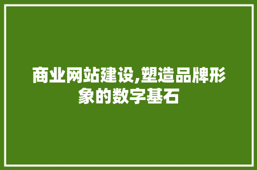 商业网站建设,塑造品牌形象的数字基石 神马SEO