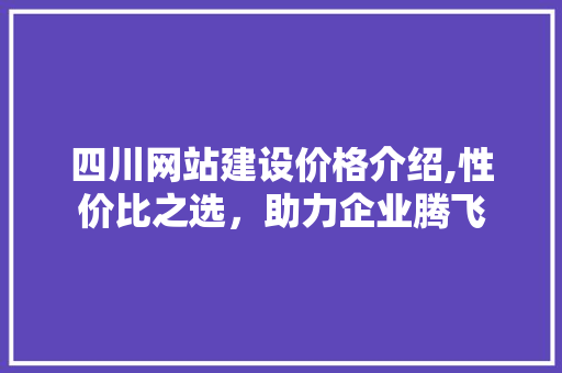 四川网站建设价格介绍,性价比之选，助力企业腾飞