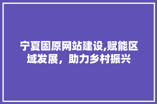 宁夏固原网站建设,赋能区域发展，助力乡村振兴 神马SEO