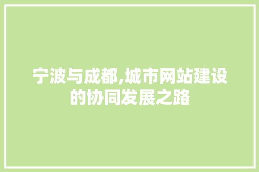 宁波与成都,城市网站建设的协同发展之路 神马SEO