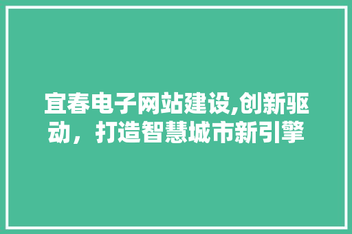 宜春电子网站建设,创新驱动，打造智慧城市新引擎 百度SEO