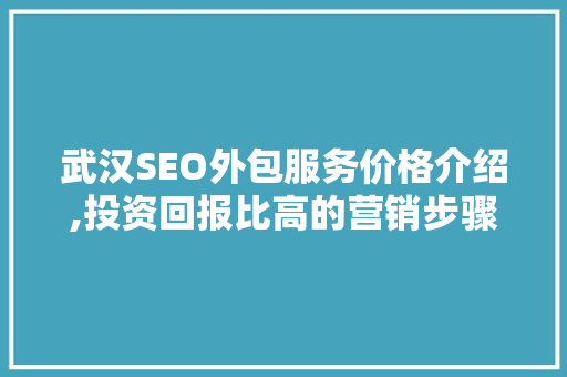 武汉SEO外包服务价格介绍,投资回报比高的营销步骤 神马SEO