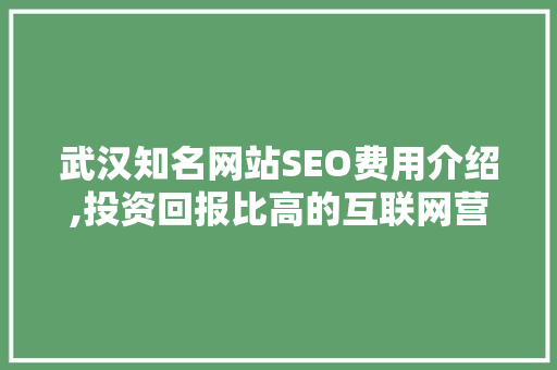 武汉知名网站SEO费用介绍,投资回报比高的互联网营销之路 GoogleSEO