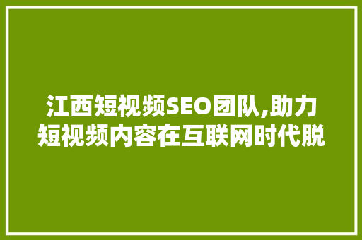 江西短视频SEO团队,助力短视频内容在互联网时代脱颖而出 GoogleSEO