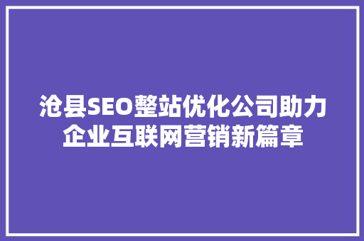 沧县SEO整站优化公司助力企业互联网营销新篇章 GoogleSEO