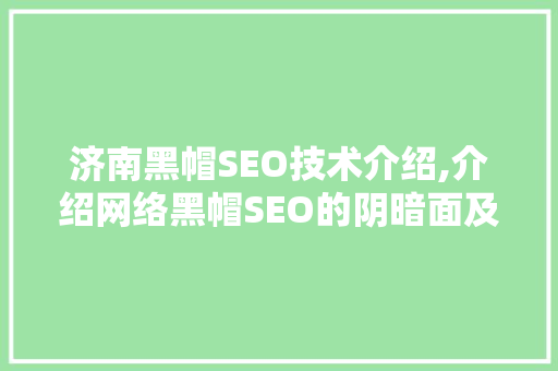 济南黑帽SEO技术介绍,介绍网络黑帽SEO的阴暗面及应对步骤 GoogleSEO