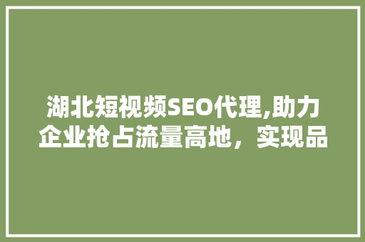 湖北短视频SEO代理,助力企业抢占流量高地，实现品牌价值最大化 搜狗SEO