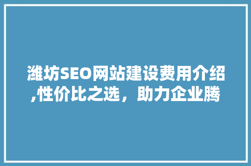 潍坊SEO网站建设费用介绍,性价比之选，助力企业腾飞