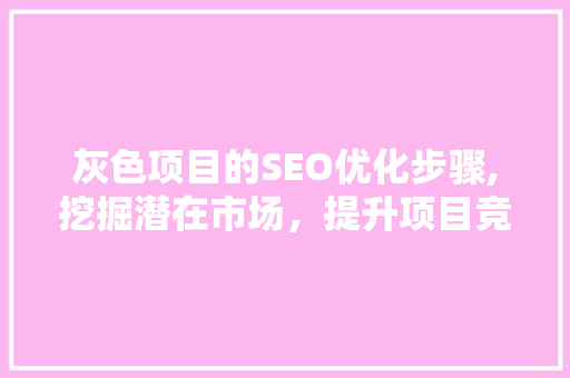 灰色项目的SEO优化步骤,挖掘潜在市场，提升项目竞争力