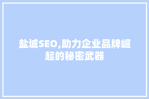 盐城SEO,助力企业品牌崛起的秘密武器