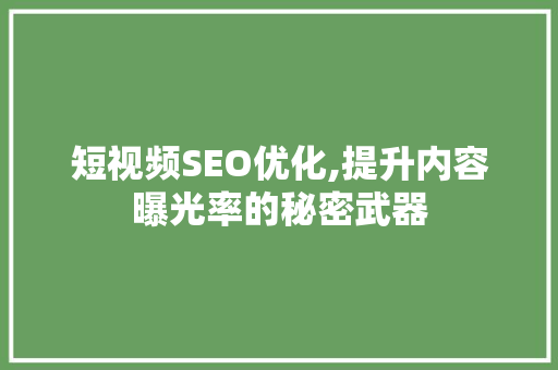 短视频SEO优化,提升内容曝光率的秘密武器 GoogleSEO