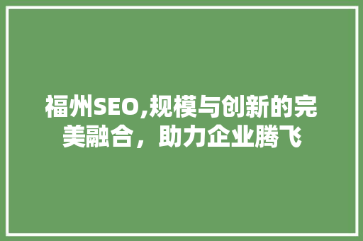 福州SEO,规模与创新的完美融合，助力企业腾飞 百度SEO