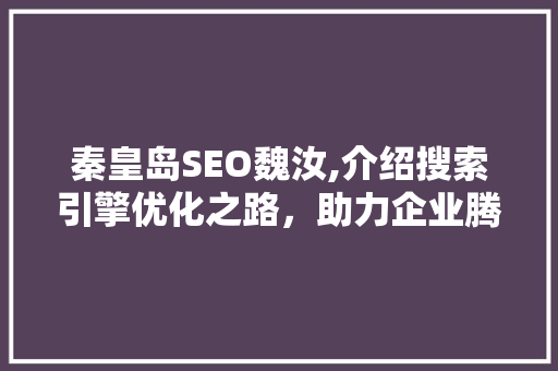 秦皇岛SEO魏汝,介绍搜索引擎优化之路，助力企业腾飞 神马SEO
