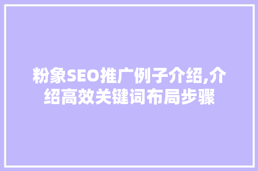 粉象SEO推广例子介绍,介绍高效关键词布局步骤