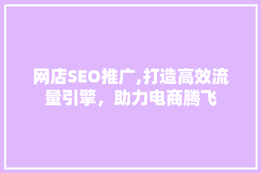 网店SEO推广,打造高效流量引擎，助力电商腾飞 百度SEO
