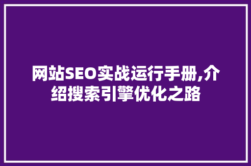 网站SEO实战运行手册,介绍搜索引擎优化之路 百度SEO