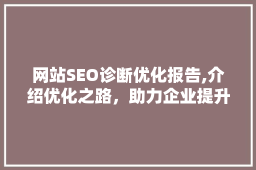 网站SEO诊断优化报告,介绍优化之路，助力企业提升搜索引擎排名 神马SEO