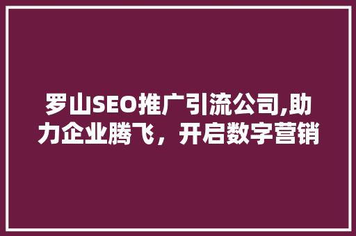 罗山SEO推广引流公司,助力企业腾飞，开启数字营销新篇章 必应SEO