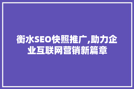 衡水SEO快照推广,助力企业互联网营销新篇章 神马SEO