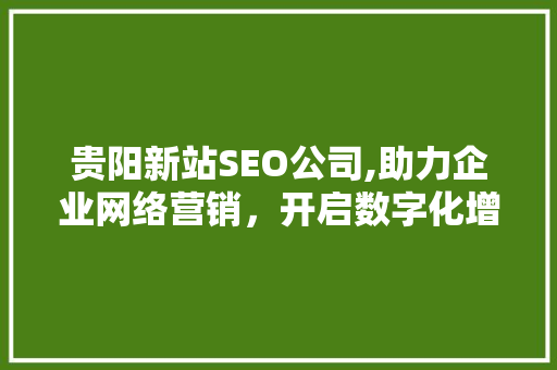 贵阳新站SEO公司,助力企业网络营销，开启数字化增长新篇章 神马SEO