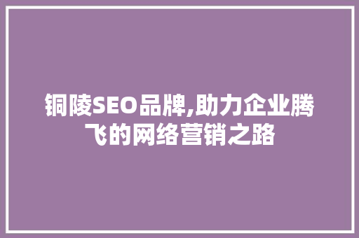 铜陵SEO品牌,助力企业腾飞的网络营销之路 神马SEO