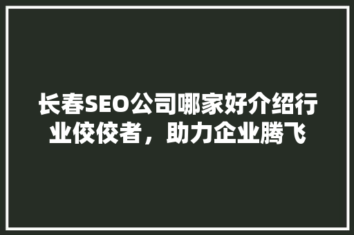 长春SEO公司哪家好介绍行业佼佼者，助力企业腾飞